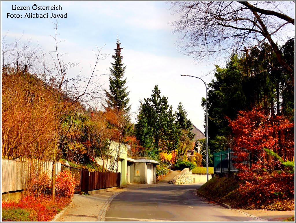 Foto: Aliabadi Javad - Liezen Österreich by Aliabadi Javad (Tajmah)