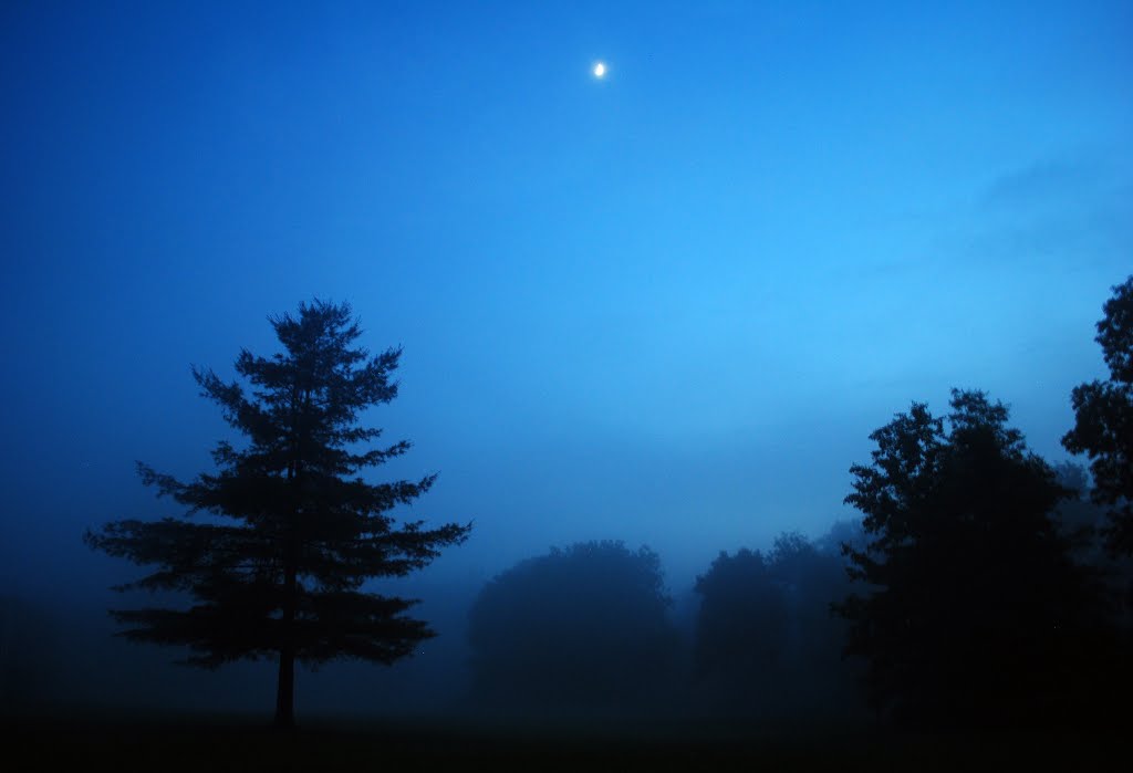 Scout camping area in the fog at dusk by Watchung MountainMan