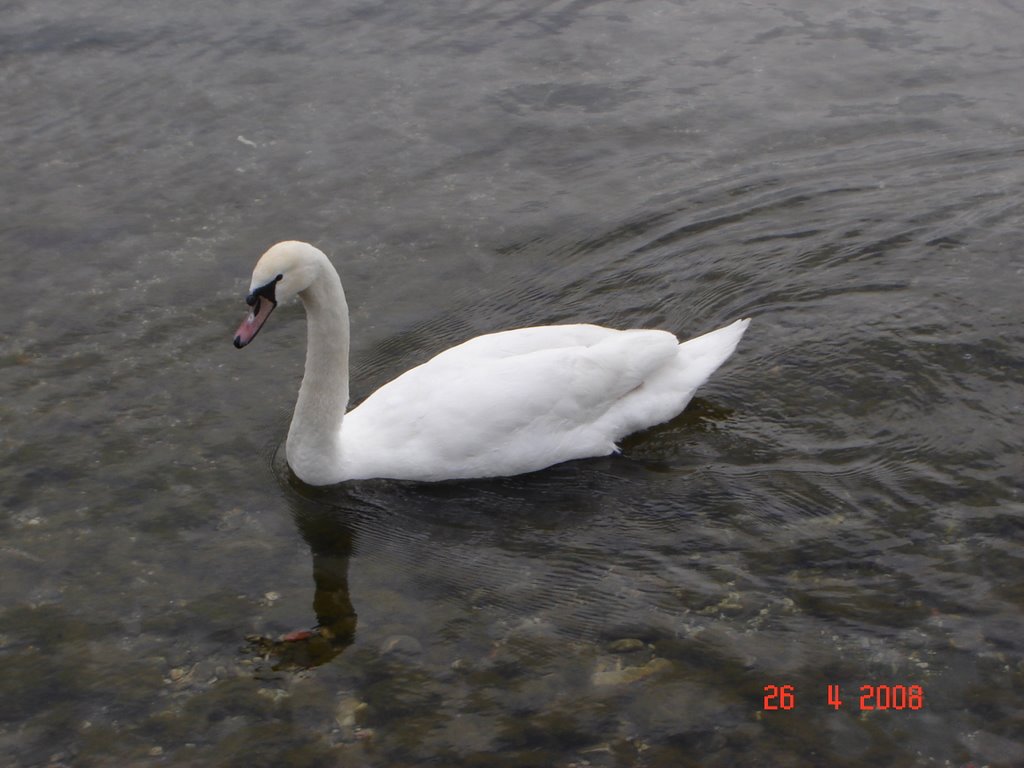 Ohrid by elyto