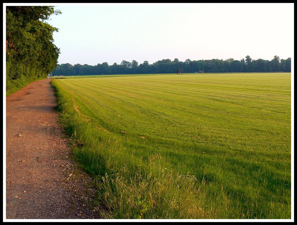 Polo ground, near Lower End, Gloucestershire (south south west) by Brian B16