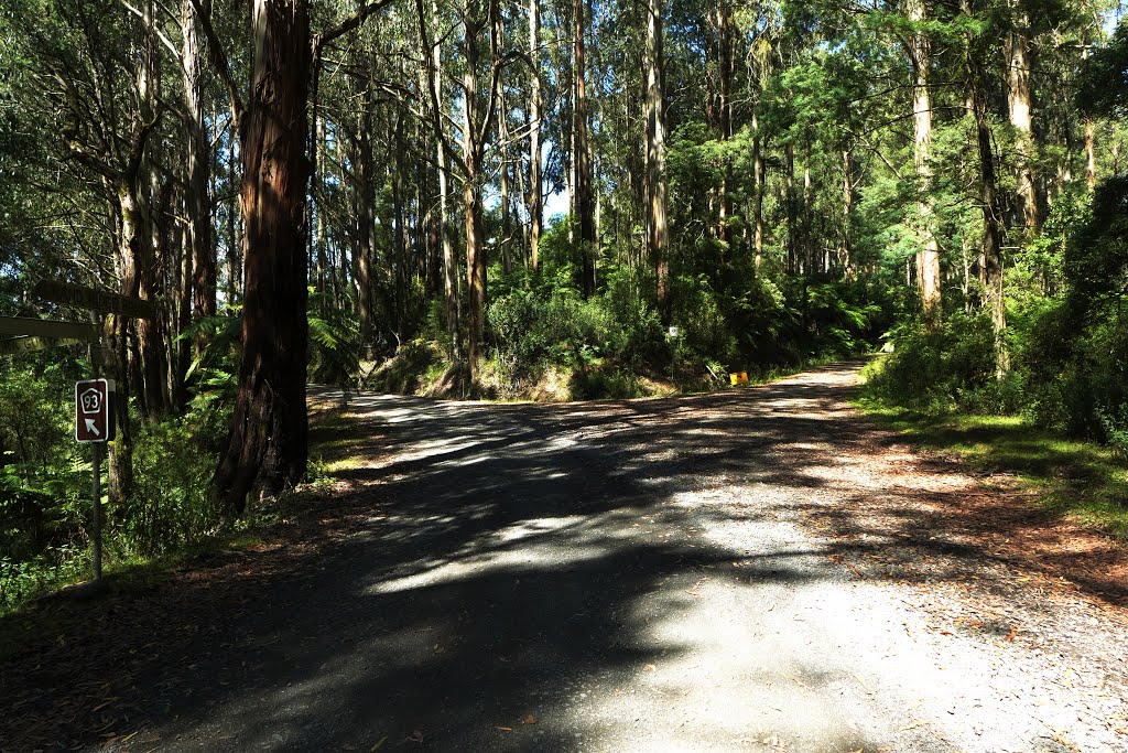 Intersection of Grand Ridge and Toora-Gunyah Rd. by moosefly24