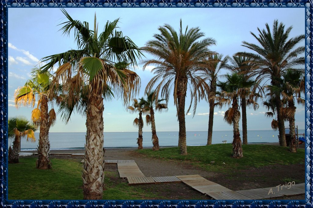 El descanso en la Playa by A. Trigo