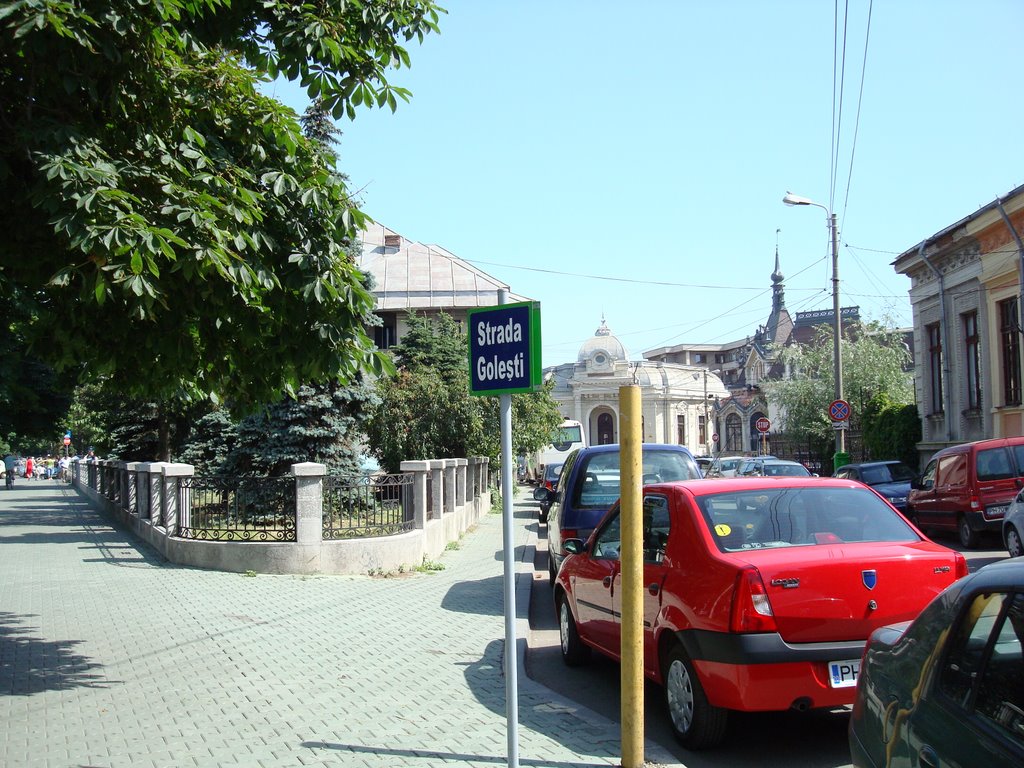 Ana Ipătescu, Ploiești, Romania by Eugen Simion