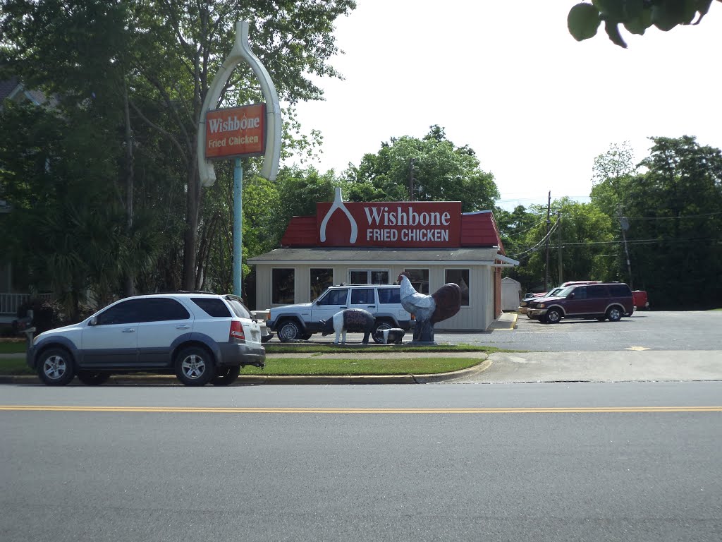 Wishbone Fried Chicken, Tifton by mriveraz