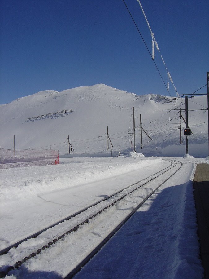 Train Station by David Vaucher