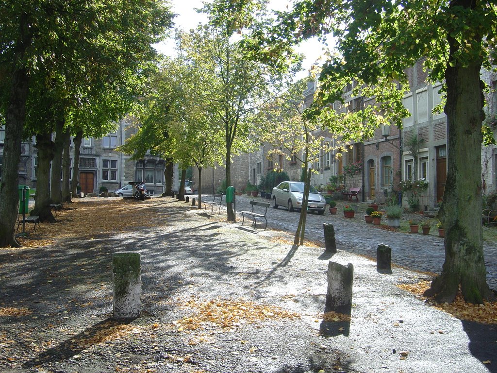 Centre Limbourg by herbert de greve