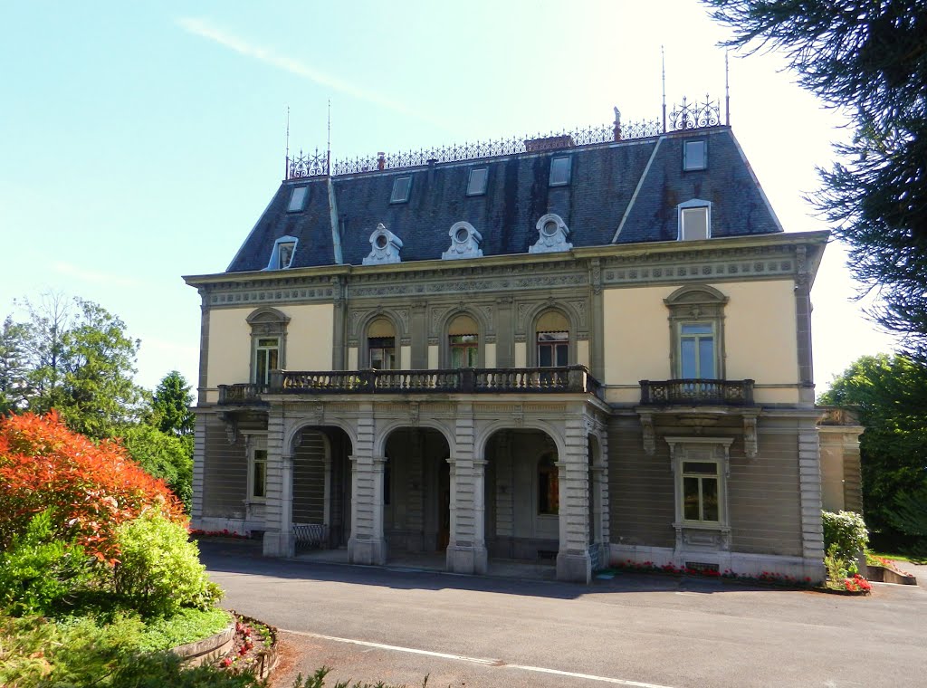 La Tour-de-Peilz, Route de St-Maurice 74 by dr.monnet