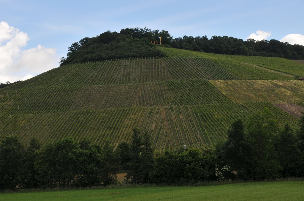 Brackenheim-Dürrenzimmern, Mönchsberg Hörnle by Yasli Esek Jörg