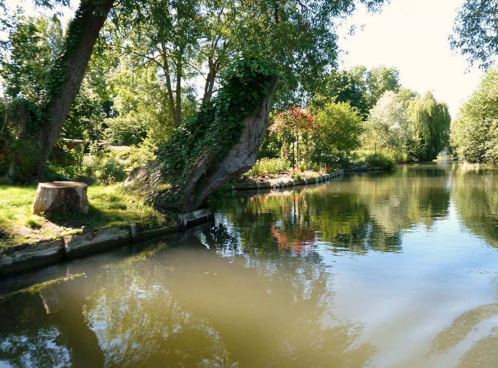 Amiens, les hortillonnages by Pierre-André Leclercq