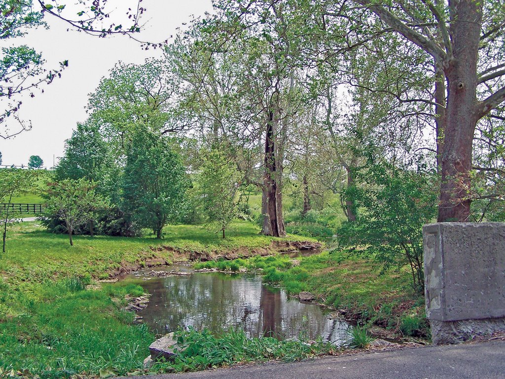 Tates Creek Road and East Hickman Road by laytham