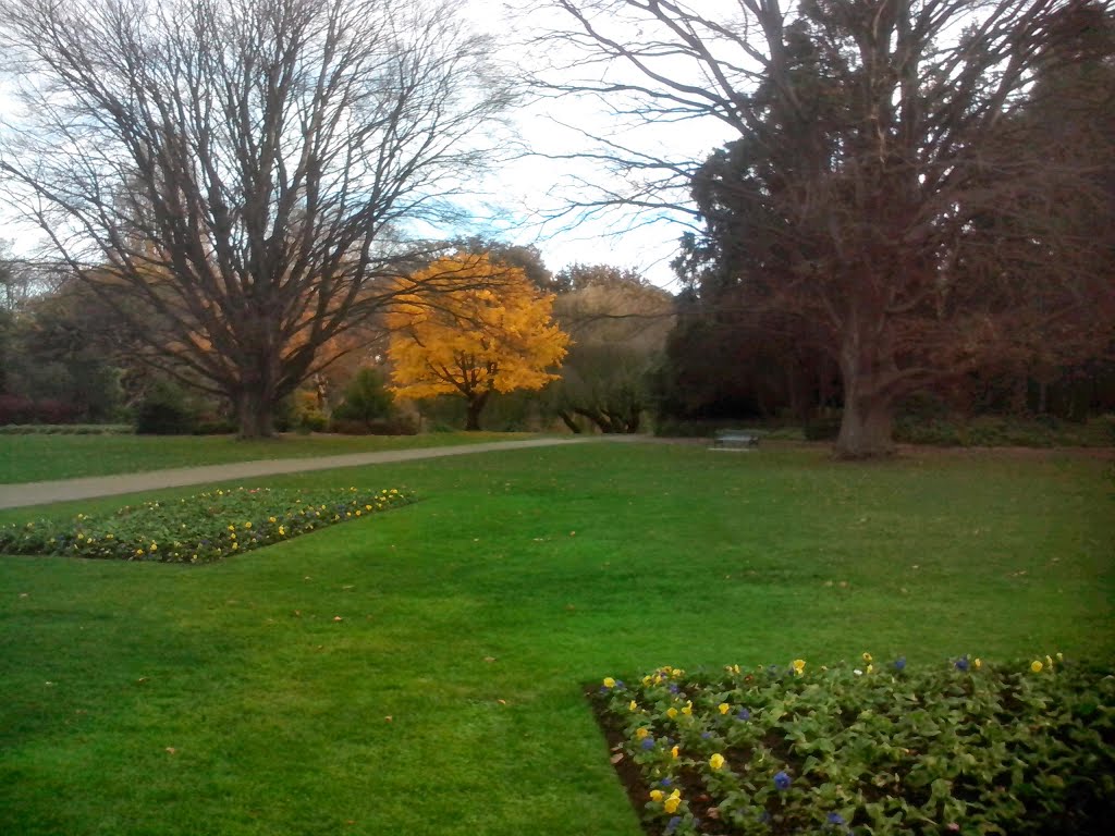 Jardín Botánico, Christchurch, Nueva Zelanda by Nelson Pérez