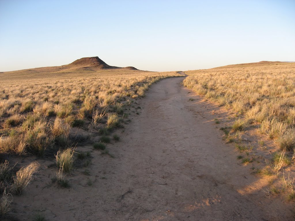 Petroglyph National Monument, Albuquerque, NM by Bruce Ellerin