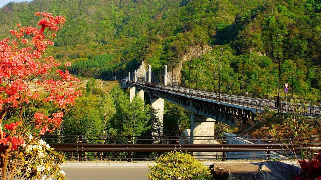 Fudou oohashi 不動大橋 by Ken Matsu