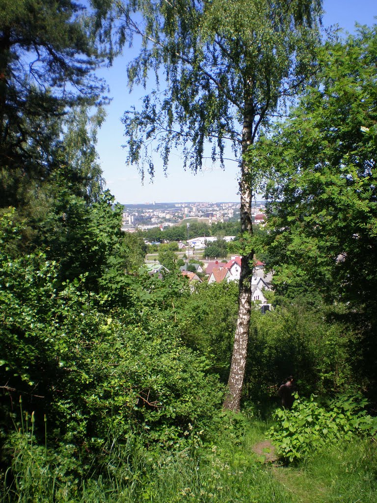 Vilniaus toliai nuo Liepų kalno - Vilnius spaces. by Gintarele