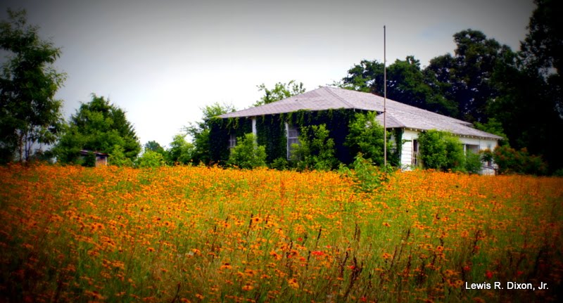 Seymore School Hopkins County, Tx. by Xonid1