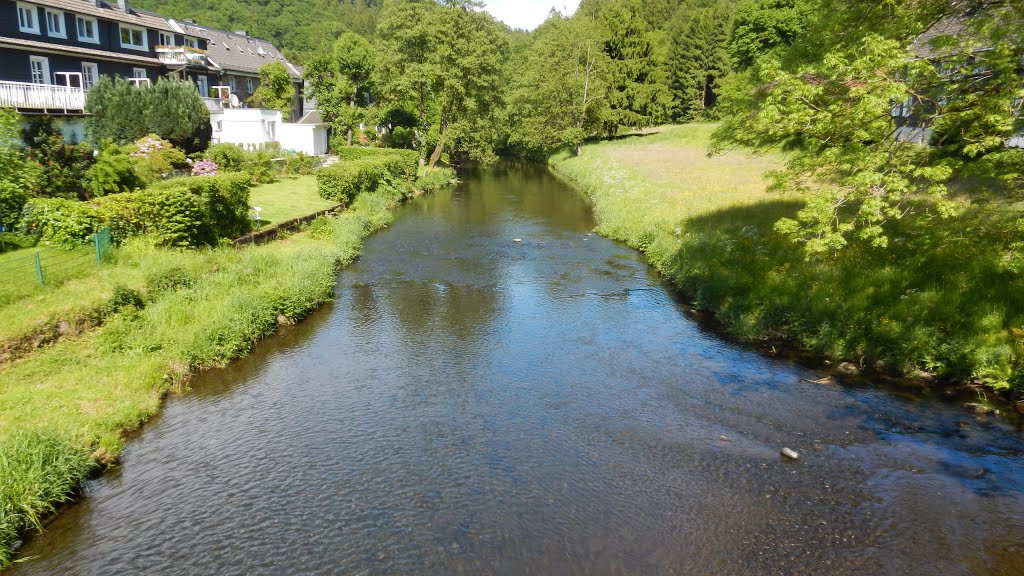 Beyenburg, Wupper River [25.05.2014] by Bogdan Tapu