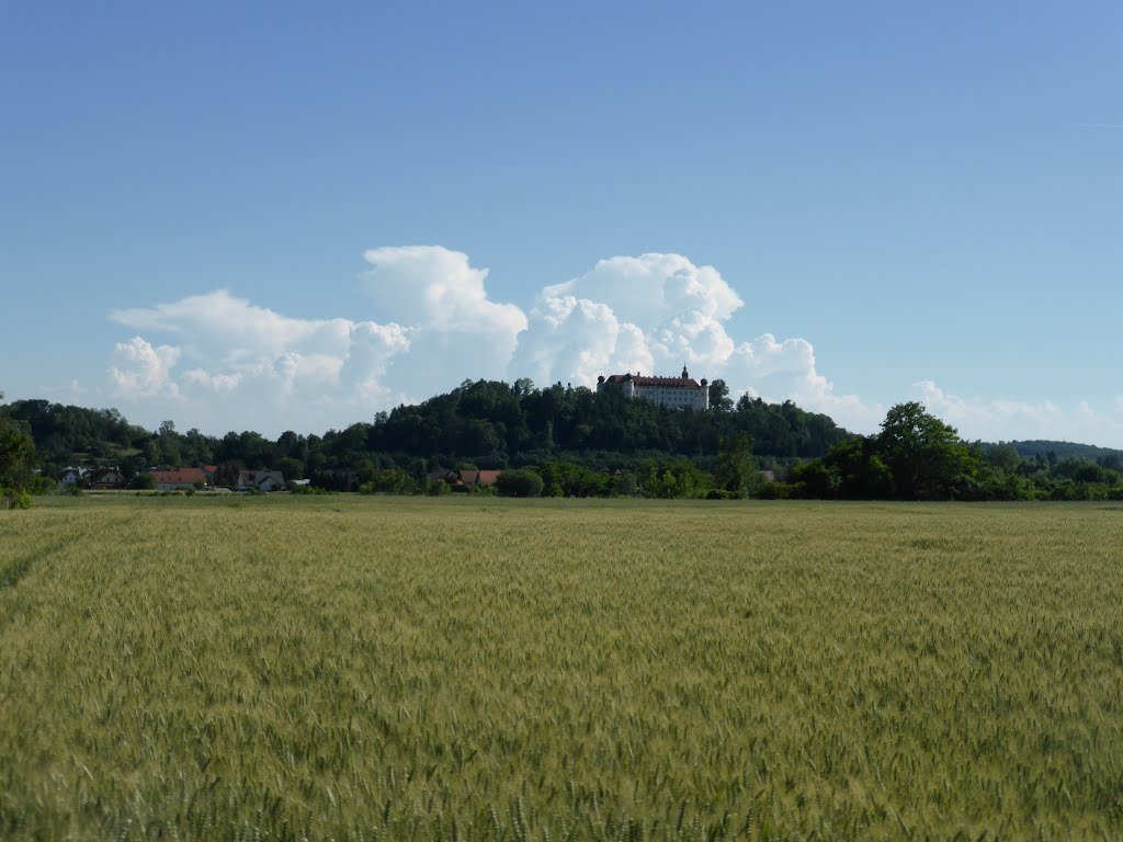 Schloss Sitzenberg by gt123456