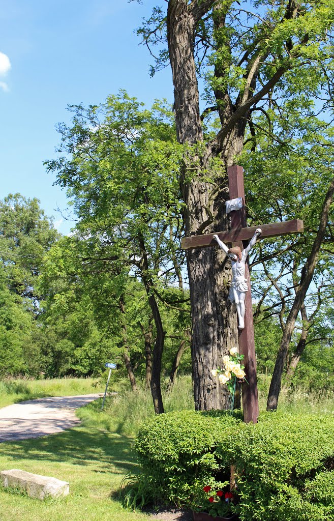 Śląskie sacrum. Stary krzyż modrzewiowy w Staniszczach by Krzysztof [uksp]