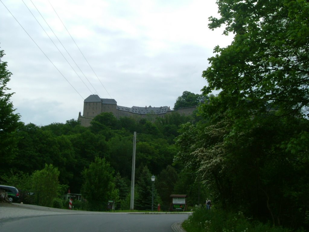 Podled na Königstein by Wilys (cz)