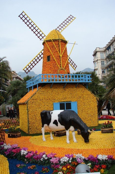 Menton, fête des citrons by Alina & Nicolas GIL