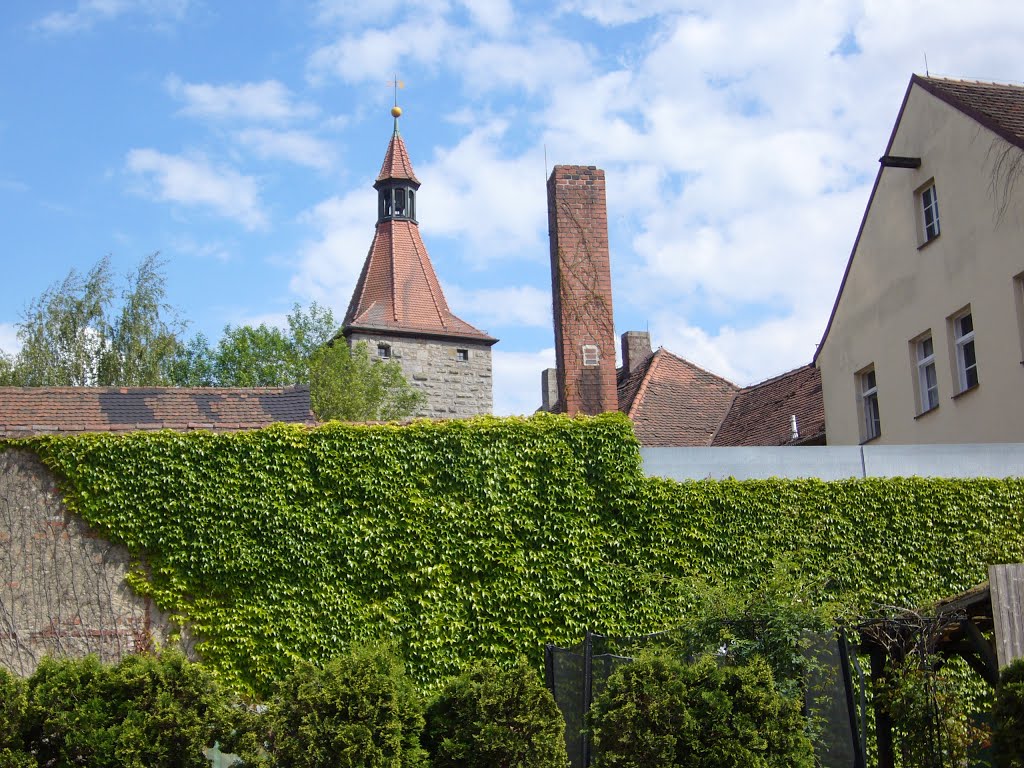 Efeu und Nürnberger Tor by Mauerschwalbe