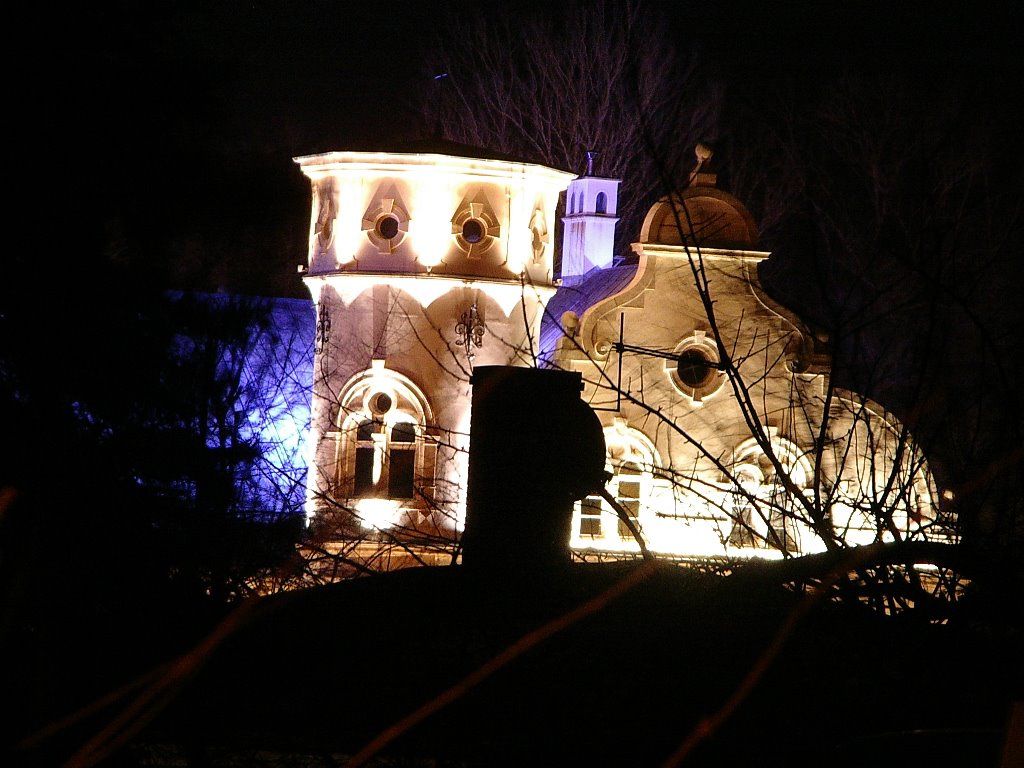 Przyszowice Zamek Wieza by Marek Pera