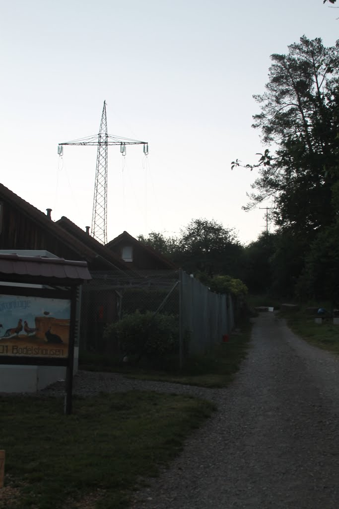 Abbau einer Freileitung bei Bodelshausen by Alphekka