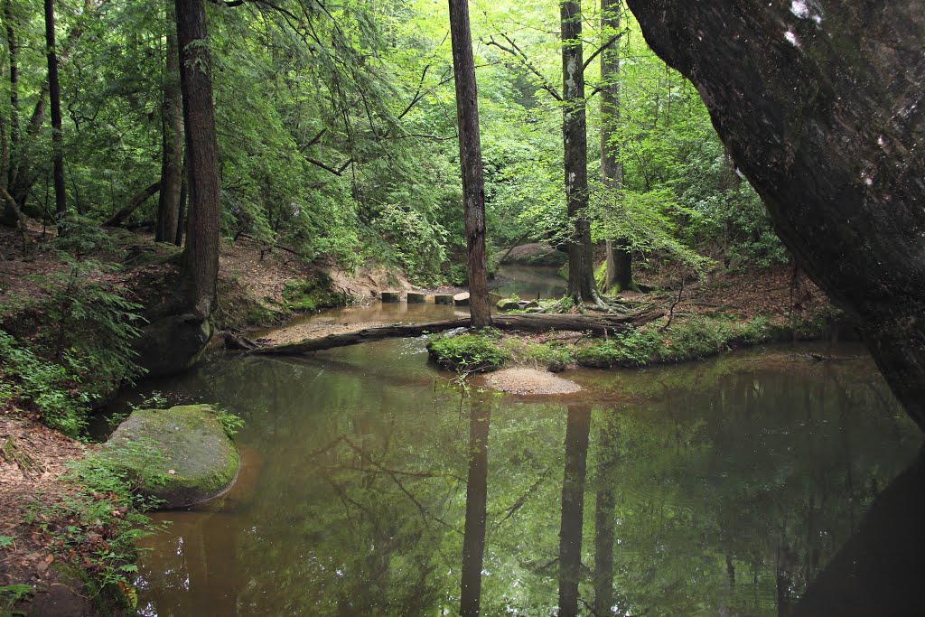 Dismals Canyon, AL (June 7, 2014) by mshanew810