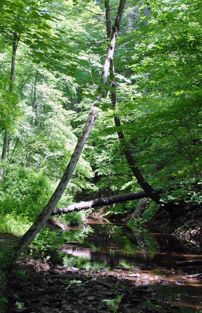 Blue Brook by Watchung MountainMan