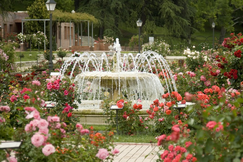 Fuente de La Rosaleda by mbarcina