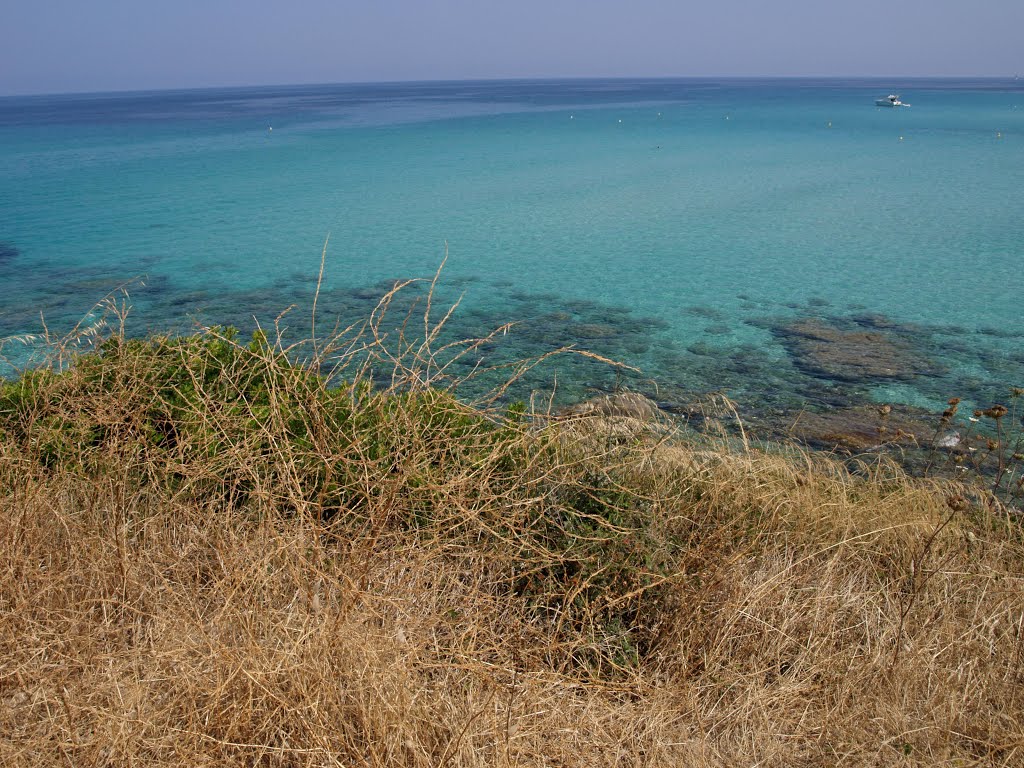 Verso la spiaggia di Bodri by Rosanna68