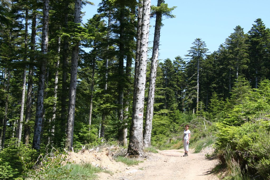 Rando Haut Folin ( juin 2014 ) by G.Rosette