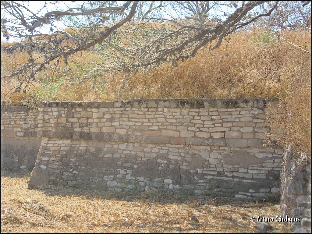 Estilo arquitectónico bien definido de la pirámide by Arturo Cárdenas L