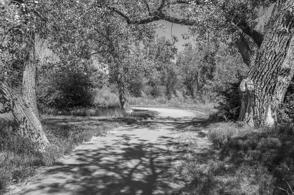 Willow Creek Trail (2014) by Mayer-Photogaphy