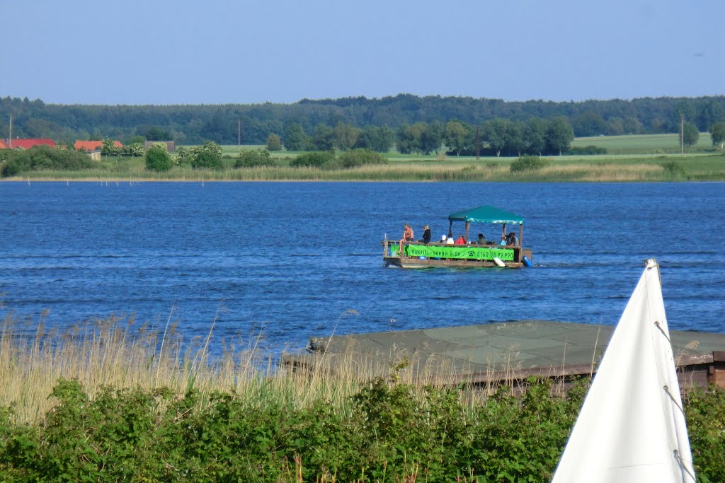 Auf dem Fleesensee by Günter Kriems