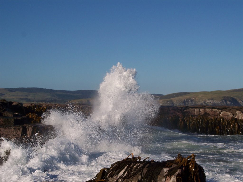 Crushing waves by White Horn