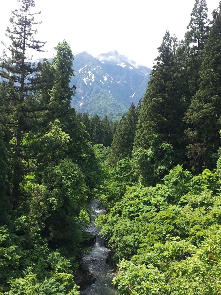 佐梨川と越後駒ヶ岳　樹海ライン by cameron525i