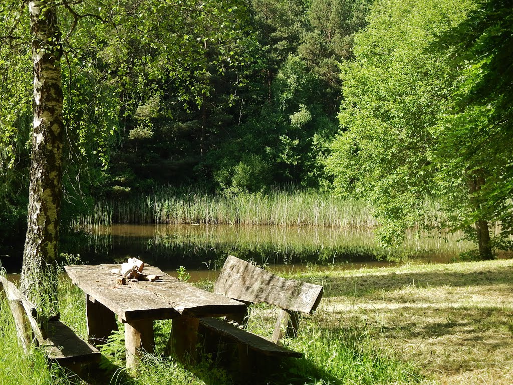 Kohlweiher im Naturpark Schönbuch by Qwesy