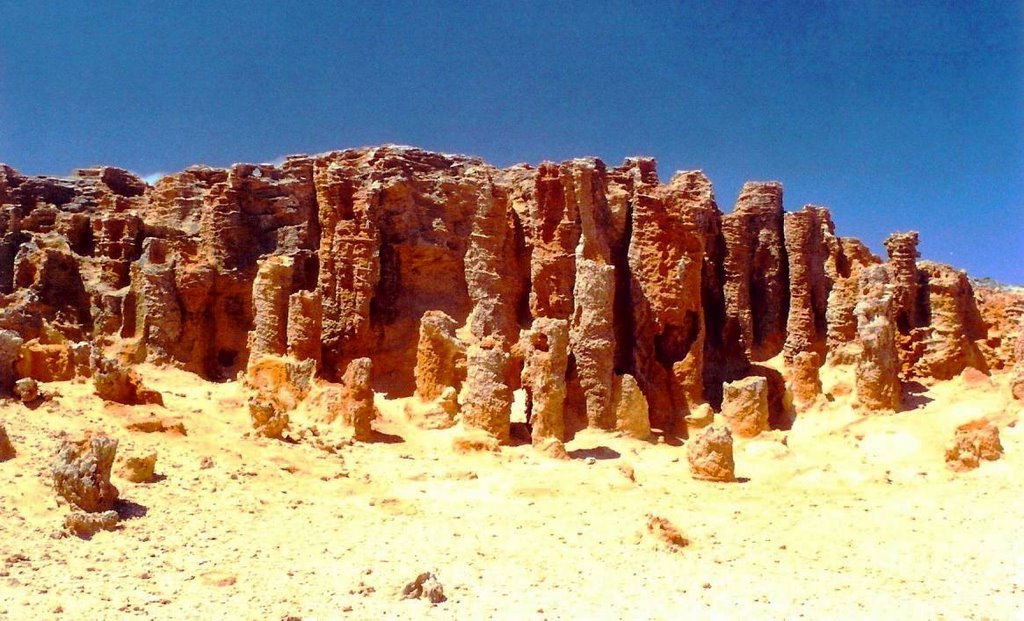 Petrified what? (Cape Bridgewater) by Geerten