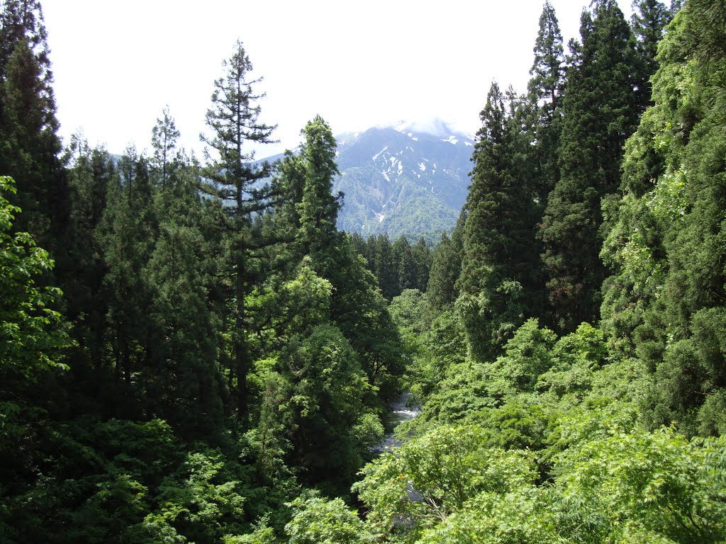 越後三山　駒ヶ岳2,003mと佐梨川 by cameron525i