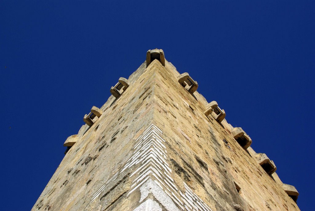 Torre de l'Arquebisbe by Carlos Blanco Fernán…