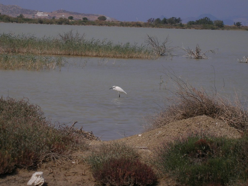 Salt lake as it is now kos by binabout