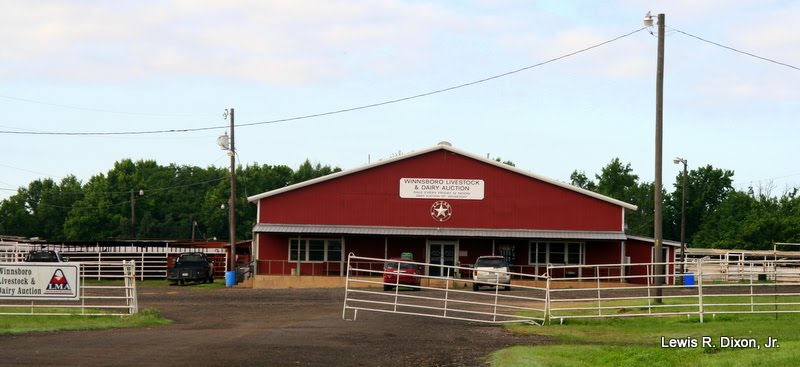 Winnsboro Livestock and Dairy Auction by Xonid1