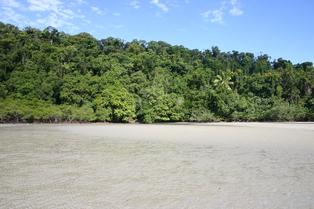 Rainforest Cape Tribulation from beach by www.worldnature-phot…