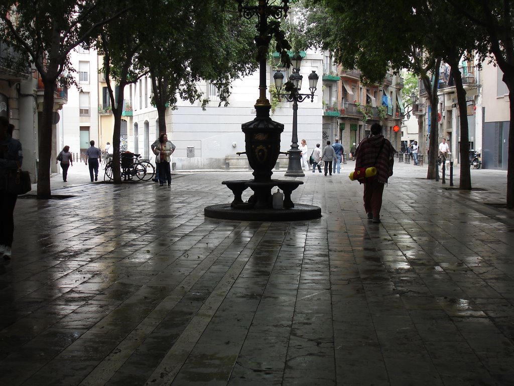 Contrallum a la Plaça de Sant Agustí Vell by cfmarcet