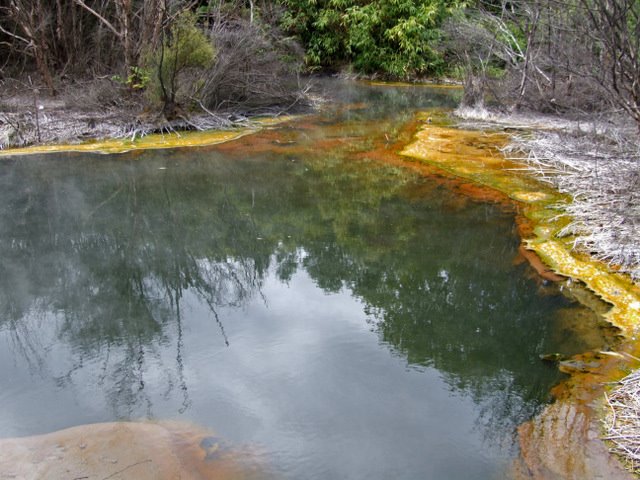 1300 Rotorua Thermal Park by Daniel Meyer