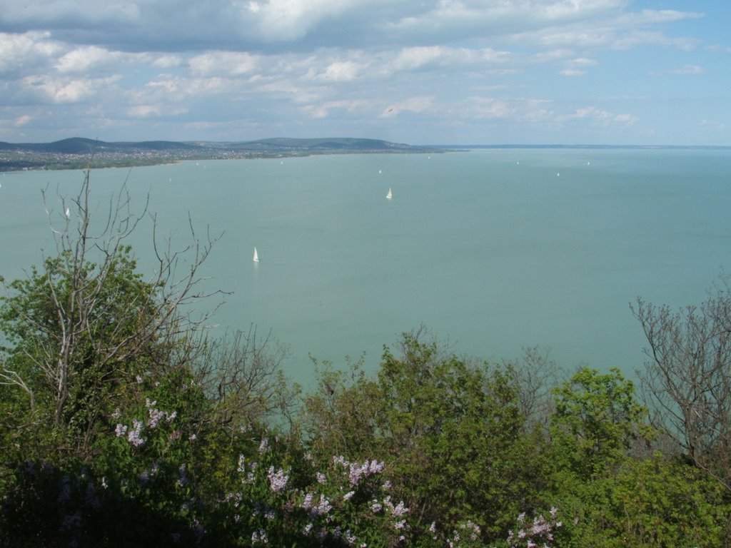 Balaton by Toth Christian