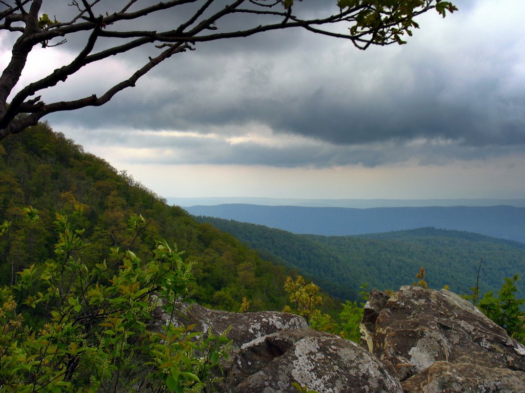 View north West off the Appalachian Trail in Shenandoah National Park by coldwaterjohn