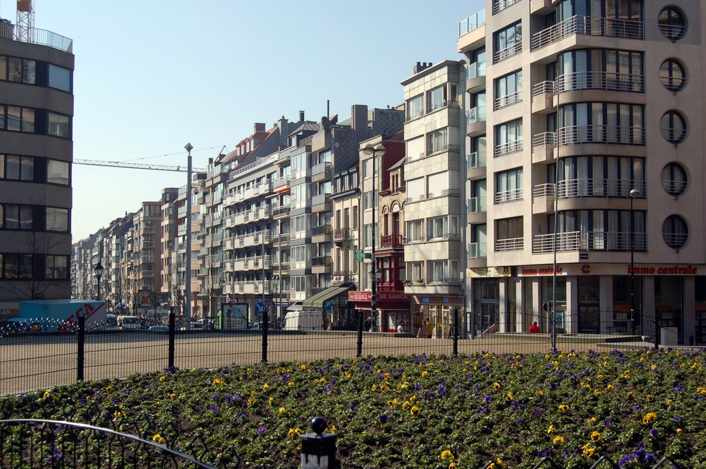 Lippenslaan knokke by h.schneiders