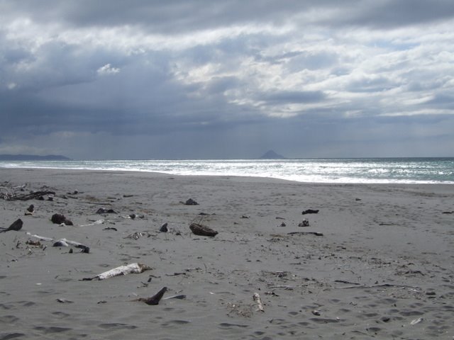 1353 Waiotahi Beach, view to Moutohora Island by Daniel Meyer